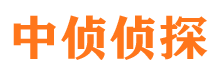 苏家屯寻人公司